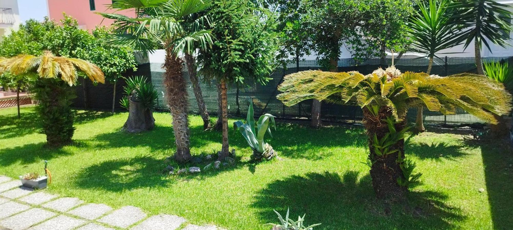 Apartment Solemare 