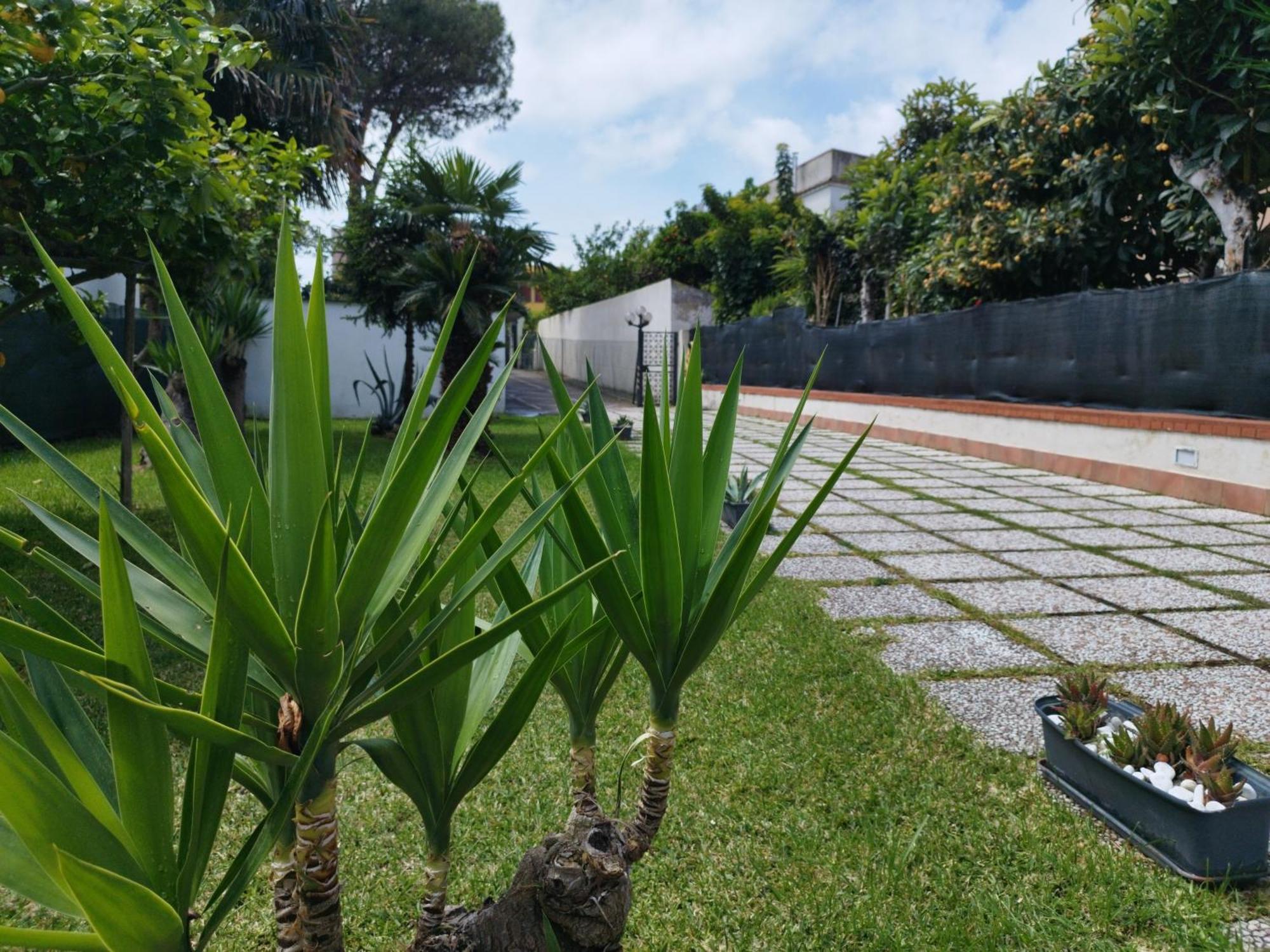 Apartment Solemare 